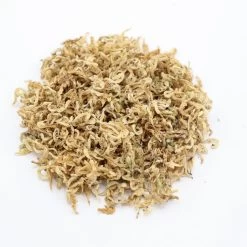 Herbimals Herbimals Dovenetelbloemen Wit