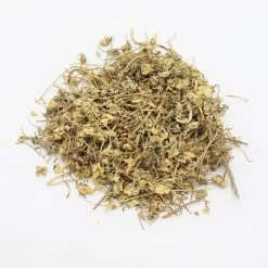 Herbimals Herbimals Driekleurig Viooltje Bloemen - Viola Tricolor