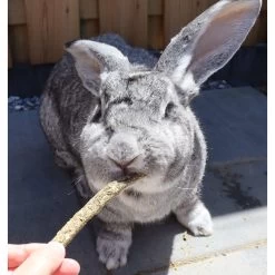 Herbimals Maand Abonnement Herbimals Kruidenbox - Konijnen