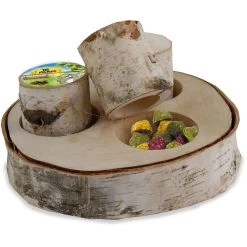 JR Farm JR FARM Train The Brain Forest